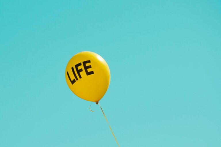 La vie par procuration