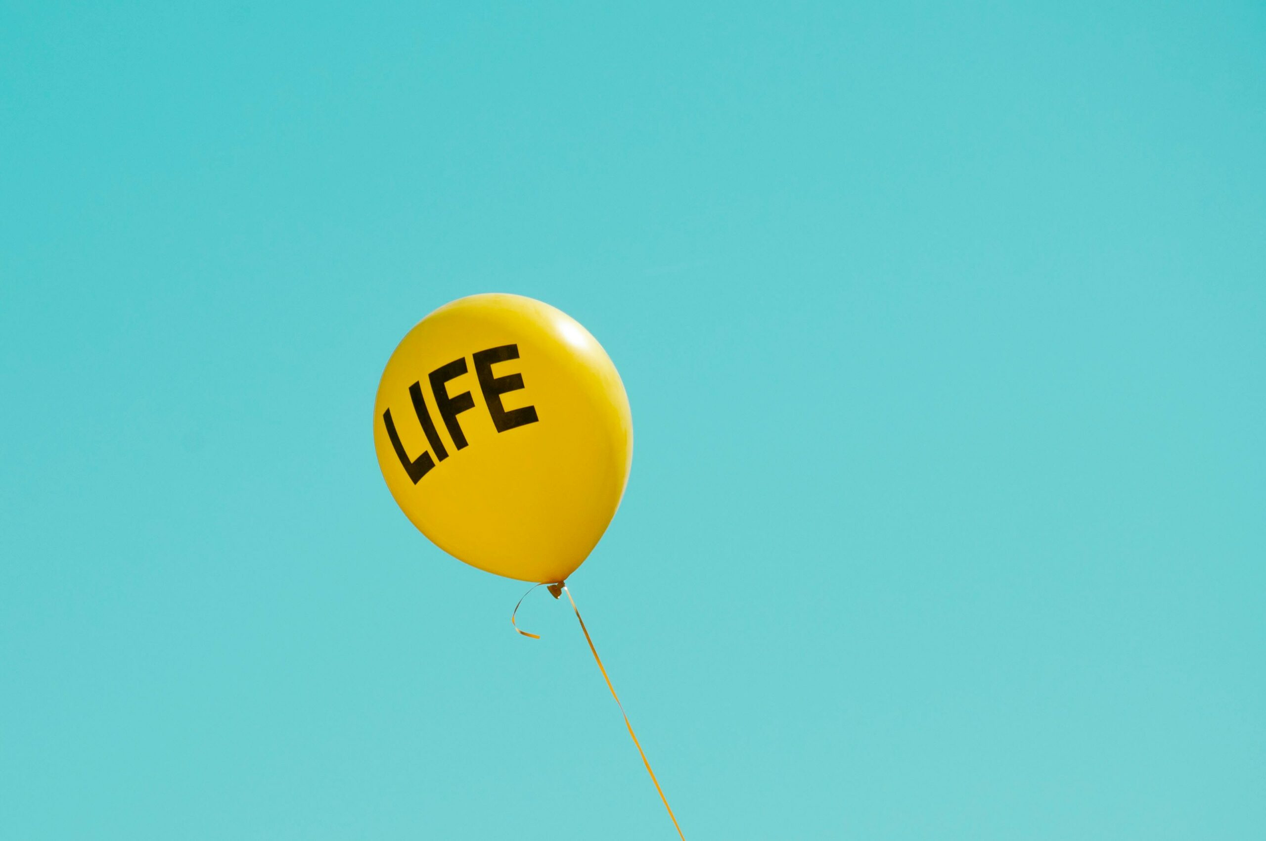 La vie par procuration